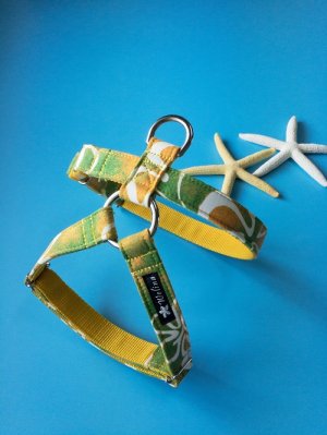 画像16: ハーネスのオーダー