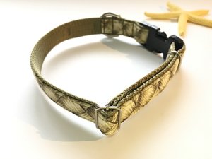 画像11: ドッグカラー