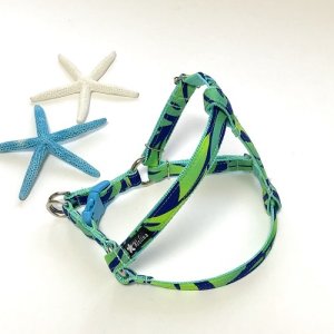 画像5: ハーネス