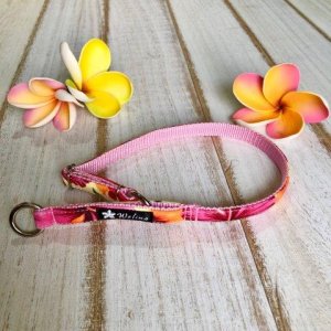 画像8: ソフトチョーク