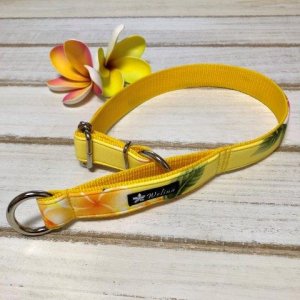 画像6: ソフトチョーク