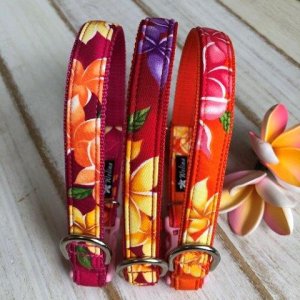 画像1: ドッグカラーのオーダー