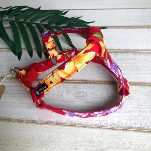 画像6: ハーネス