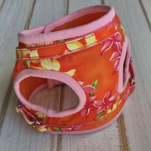 画像17: ハーネスのオーダー