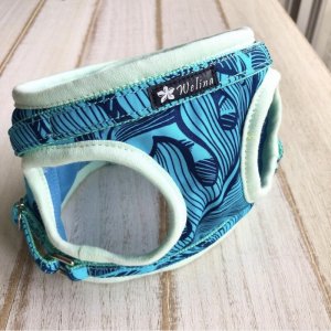 画像27: ハーネスのオーダー