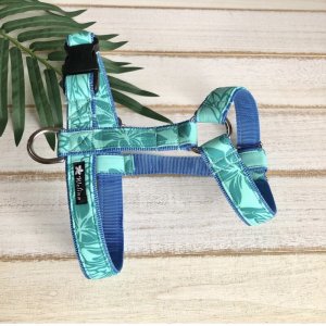 画像11: ハーネスのオーダー