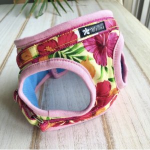 画像25: ハーネスのオーダー