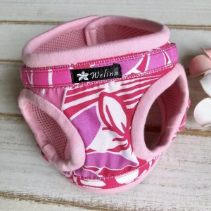 画像18: ハーネスのオーダー