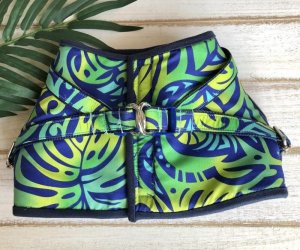 画像21: ハーネスのオーダー