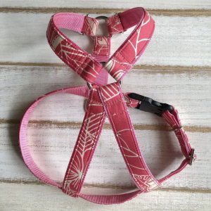 画像22: ハーネスのオーダー