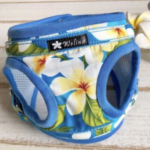 画像23: ハーネスのオーダー