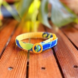 画像2: キャットカラー