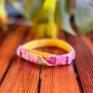 画像3: キャットカラー