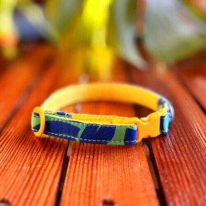 画像3: キャットカラー