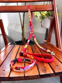 お得な首輪とリードのセット