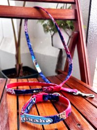 お得な首輪とリードのセット