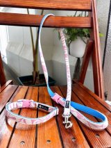 お得な首輪とリードのセット