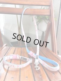 お得な首輪とリードのセット