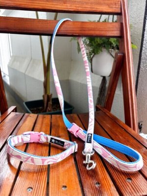 画像1: お得な首輪とリードのセット