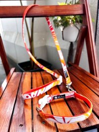 お得な首輪とリードのセット