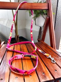 お得な首輪とリードのセット