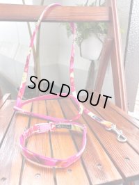 お得な首輪とリードのセット