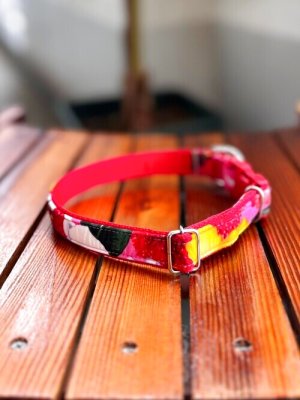 画像2: お得な首輪とリードのセット