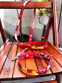 お得な首輪とリードのセット