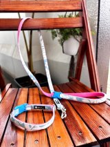 お得な首輪とリードのセット