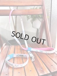 お得な首輪とリードのセット