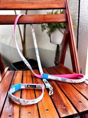 画像1: お得な首輪とリードのセット