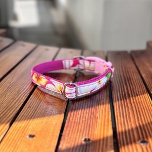 画像2: ドッグカラー