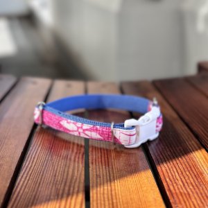 画像3: ドッグカラー