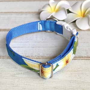 画像2: ドッグカラー