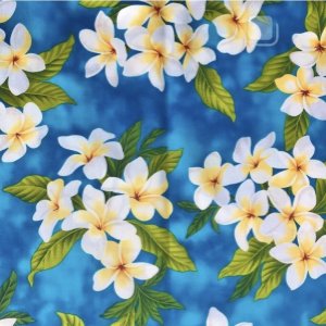 画像4: ドッグカラー