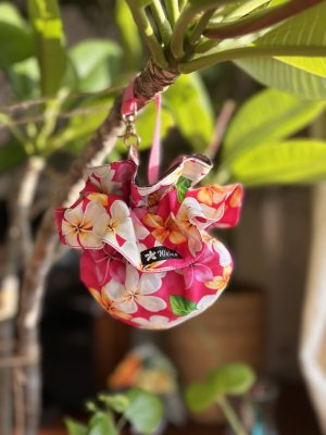 画像1: シュシュ付きトリーツポーチ