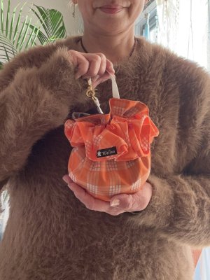 画像5: シュシュ付きトリーツポーチ