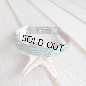 画像1: ドッグカラー