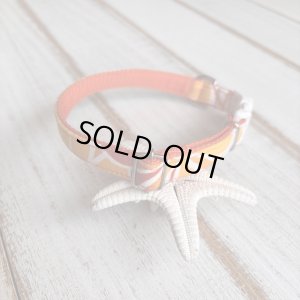 画像2: ドッグカラー