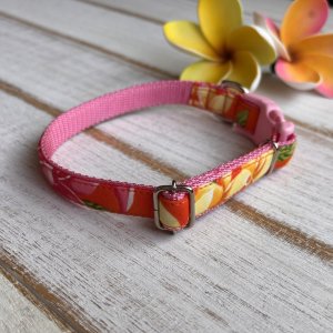 画像2: ドッグカラー