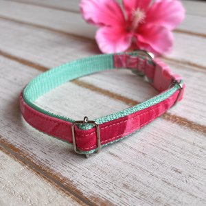 画像2: ドッグカラー