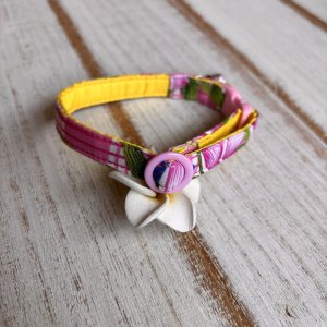 画像2: キャットカラー