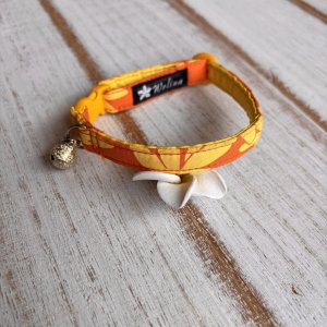 画像1: キャットカラー