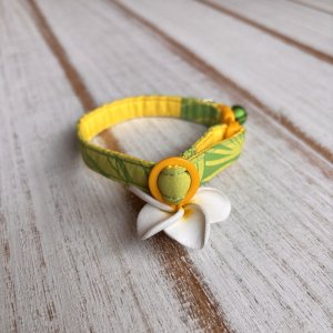 画像2: キャットカラー