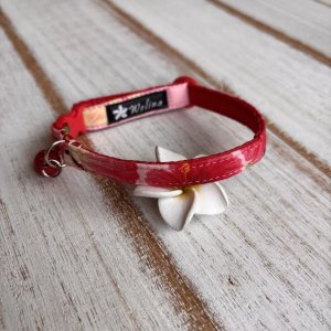 画像1: キャットカラー