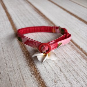 画像2: キャットカラー