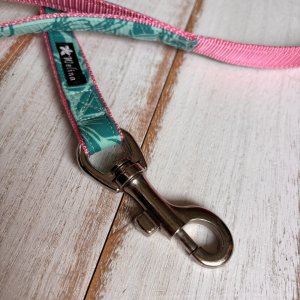 画像4: ドッグリード