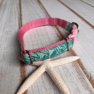 画像2: ドッグカラー