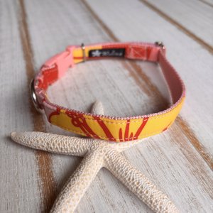 画像1: ドッグカラー