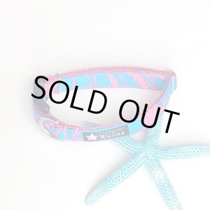 画像: ドッグカラー